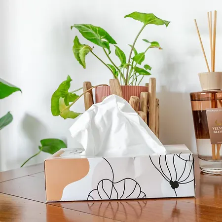 アパート Un Ptit Soleil A パリ